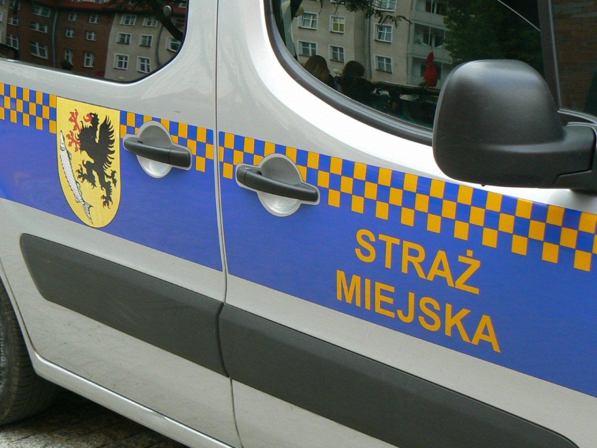 Pijany rowerzysta jadący na czerwonym i zaatakowana strażniczka