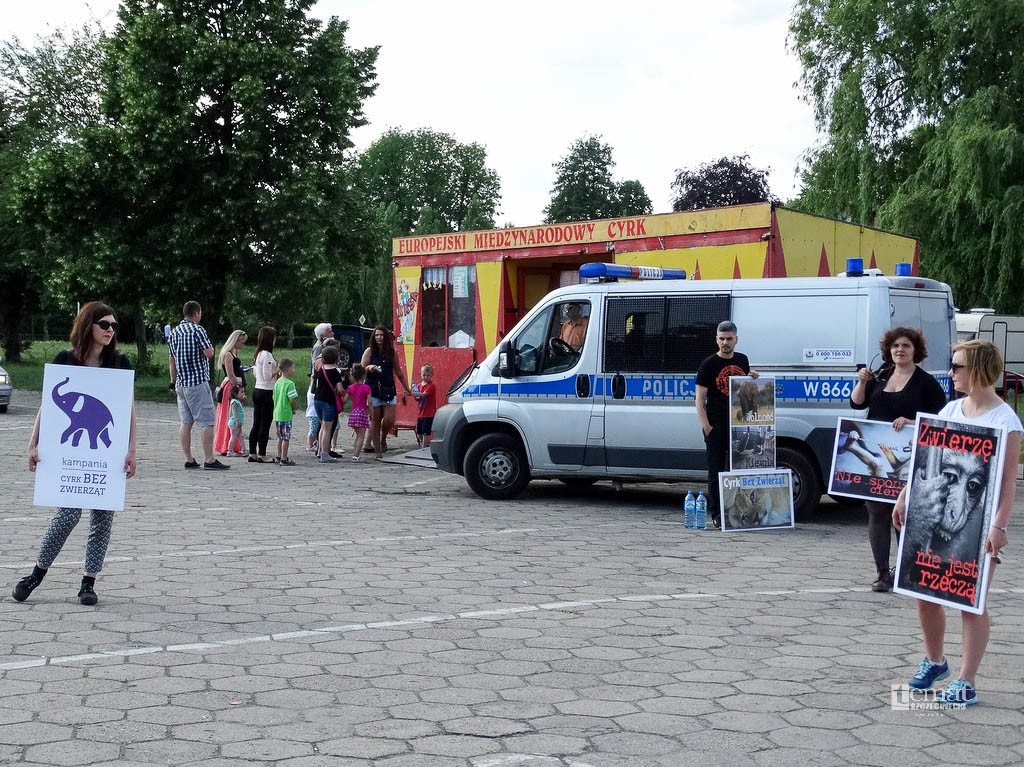 Protest przed cyrkiem. Interweniowała policja
