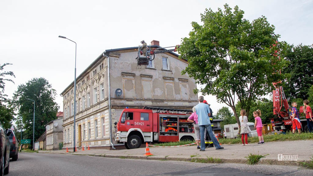 Kolejny rój pszczół na Koszalińskiej