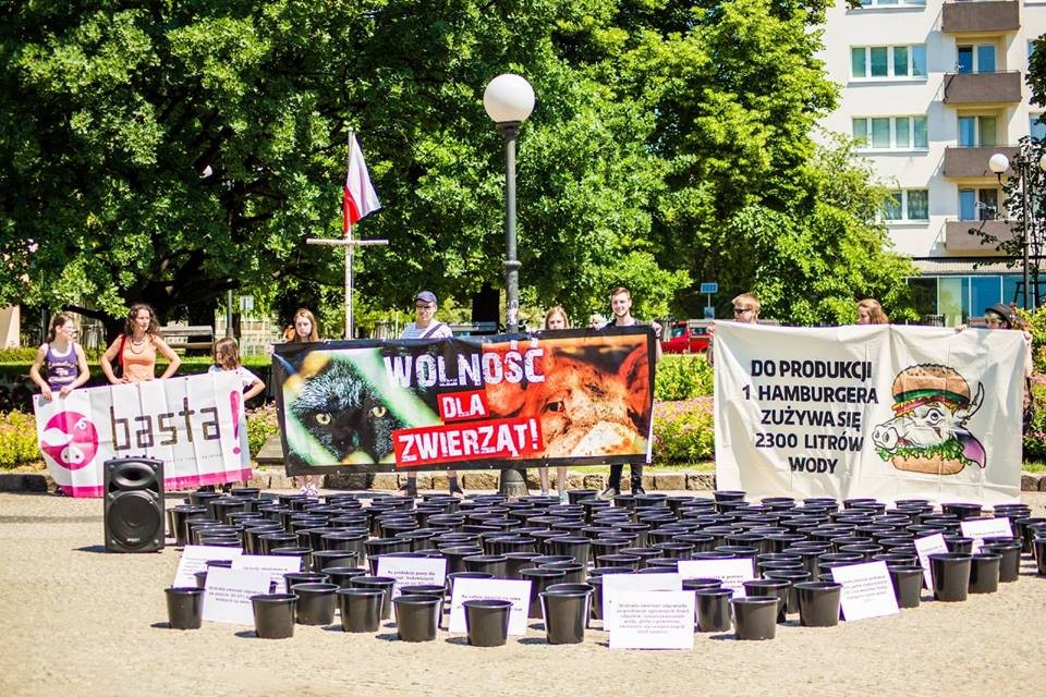 Jak mięso zabija Ziemię, czyli happening w Szczecinku