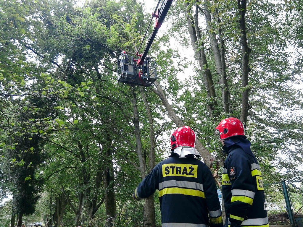 Porządki po burzy