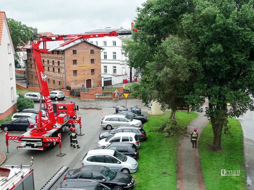 Ulica Zamkowa: Usuwanie niebezpiecznych konarów
