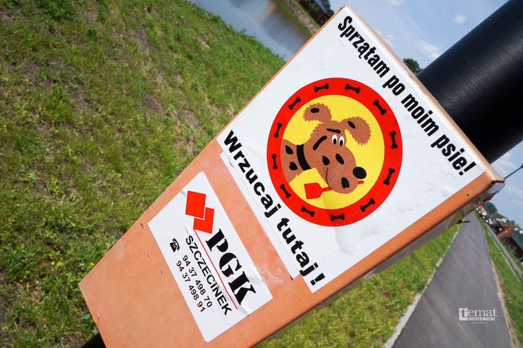 Psie kupy miały 