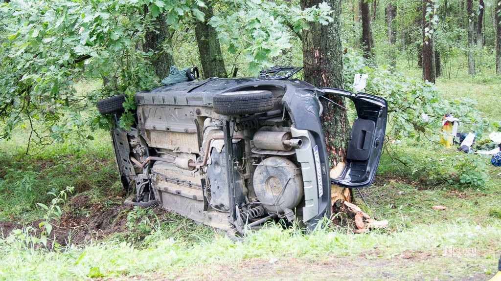 W trakcie wyprzedzania zjechał z drogi i uderzył w drzewo. Wielu poszkodowanych
