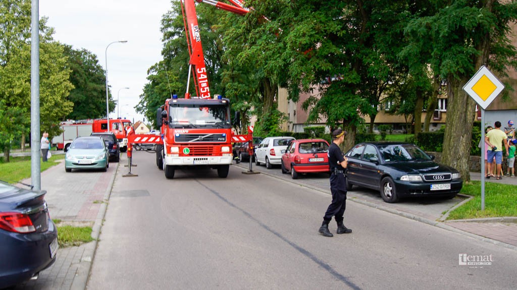 Ulica zablokowana przez... kota
