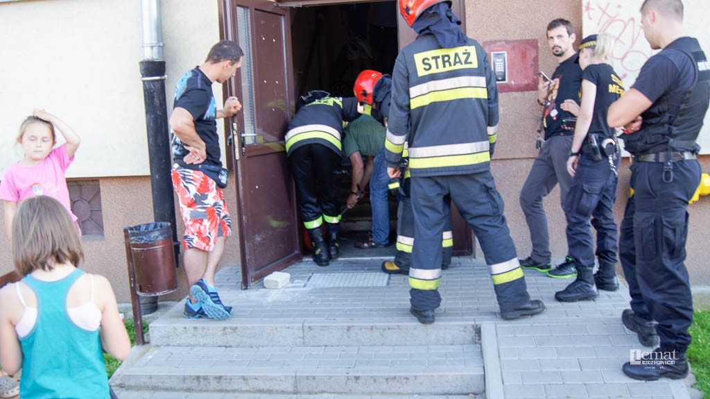 Strażnicy ratowali zaskrońca i rannego bociana
