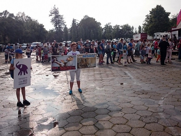 Cyrk przyjechał, aktywiści też