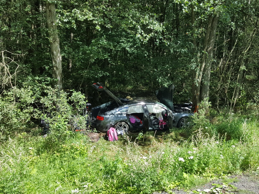 Audi wypadło z drogi i uderzyło w drzewo