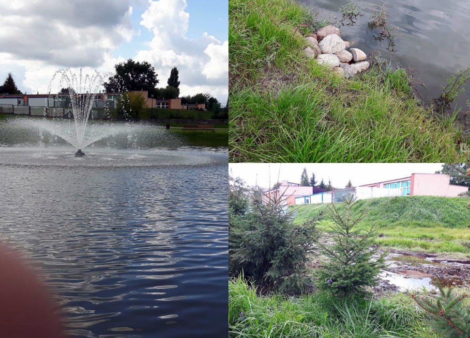 Śmierdząca breja leci do pięknego stawku