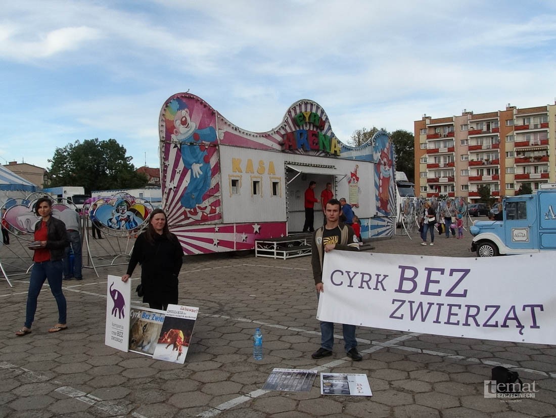 Szczecinek i Szczecin protestują razem. Przynajmniej w sprawie cyrku