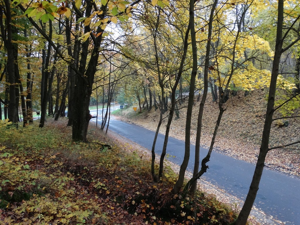 Dojście na Świątki ulicą Różaną?