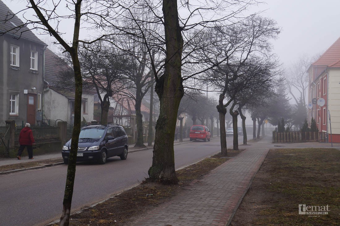 Będą rosły... gruszki
