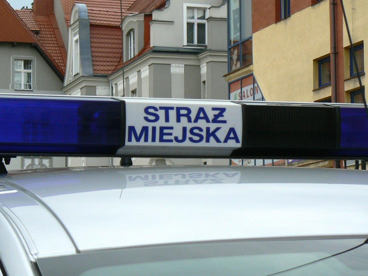 Agent handlowy, kierownik budowy, dziennikarz, strażnik miejski
