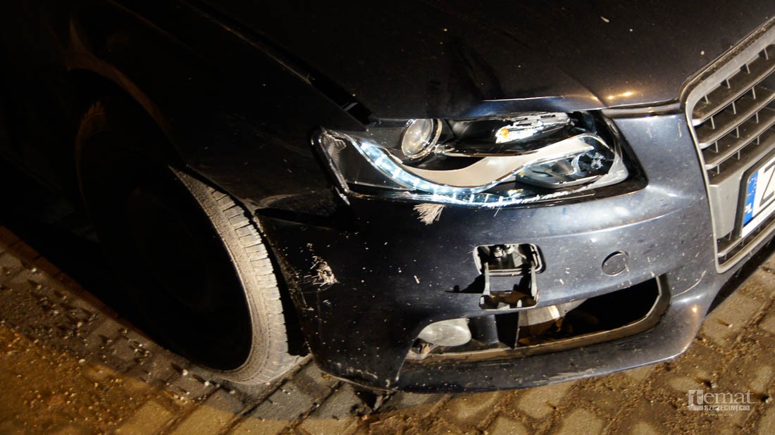 Audi trafiło na sarnę