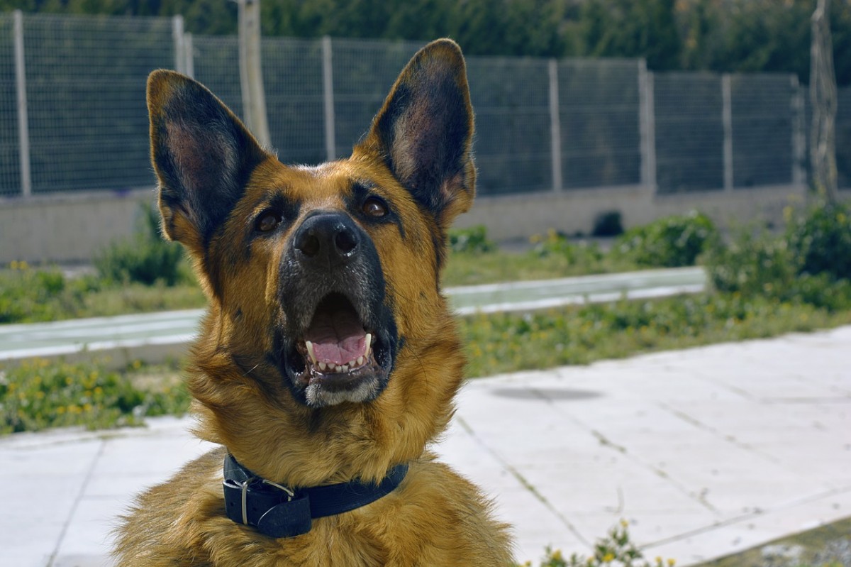 Kala. Nowy funkcjonariusz policji w Szczecinku