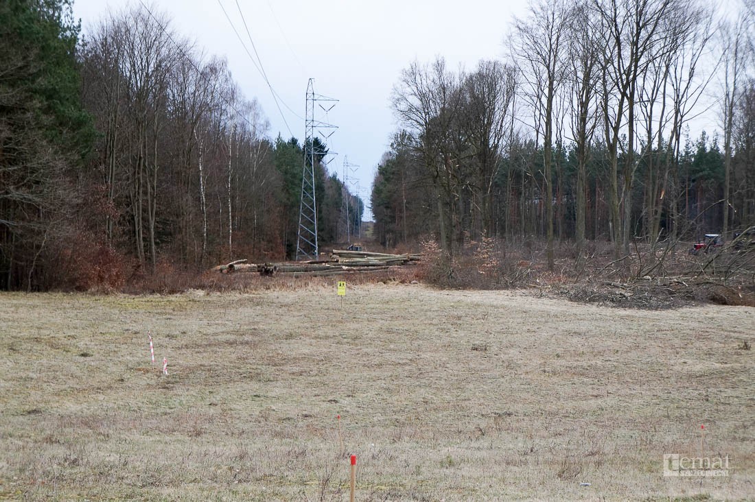 Tak powstaje obwodnica. Znikają drzewa, będzie dwupasmówka i wiadukt