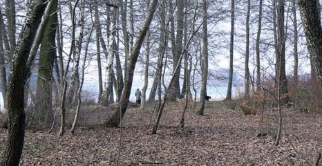 Stanąć biwakiem nad jeziorem Trzesiecko