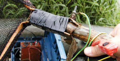 Służby się zjednoczyły na wojnę z kłusownikami wokół miasta