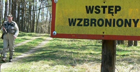 Alarm nie tylko dla leśników – w lasach sucho i pożarowo