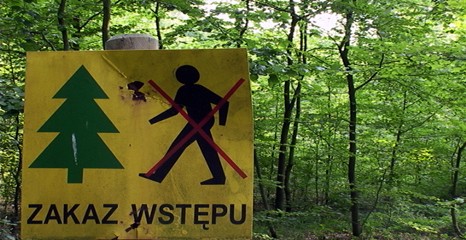Leśnicy zamykają lasy (aktualizacja)
