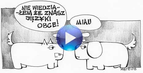 Zenek ma głos (video)