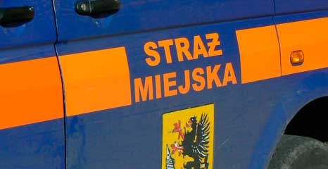27 tysięcy wykroczeń, blisko 2 miliony złotych w mandatach 
