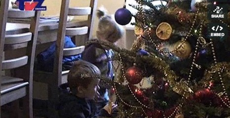 Akualności TV Zachód 19 stycznia 2011