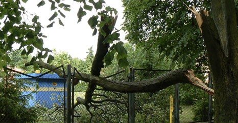 Mocno powieje z zachodu – do soboty rano