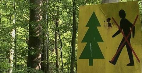 Leśnicy alarmują i apelują – w lasach sucho i pożarowo