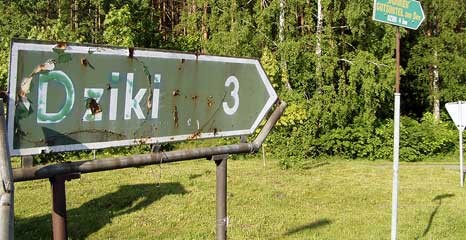 Wielka wojna w małych Dzikach