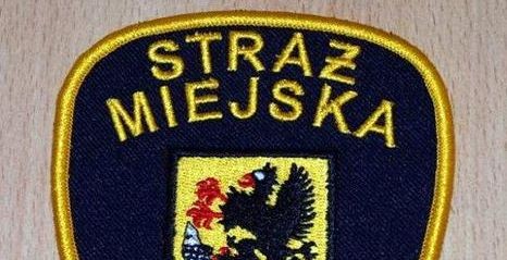 Pracowite półrocze strażników – jesteśmy bardziej zdyscyplinowani 