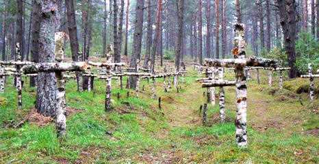 Kilkanaście tysięcy dusz śpi w środku lasu