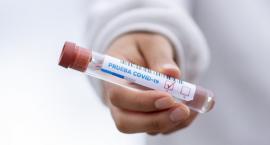 Gwałtowny spadek zakażeń w powiecie szczecineckim. Pandemia w odwrocie?
