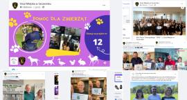 Budżet Obywatelski w Szczecinku. Kto odpowie za jego upadek?