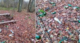 Miejsce pielgrzymek sceną dla libacji alkoholowych