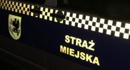 Biegał z opuszczonymi spodniami, skopał przystanek, znak i skrzynkę