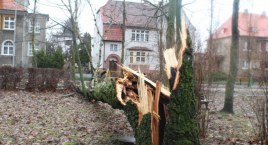 Niszczycielski wiatr i burze! Powiat szczecinecki z najwyższym stopniem alertu