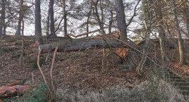 Borne Sulinowo po orkanie było odcięte od świata. Miasto wyciąga wnioski z tej sytuacji