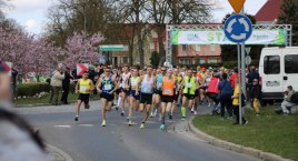 38. Bieg Osińskiego w Szczecinku przeszedł do historii. Na mecie 445 osób