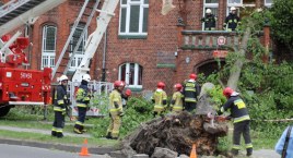 Silna wichura w Szczecinku. Drzewo przewróciło się na budynek Szkoły Muzycznej