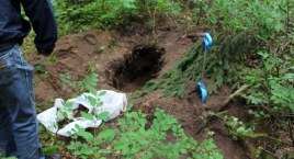 Brutalne morderstwo w Cichym Gaju. Zginęła młoda matka dwójki dzieci