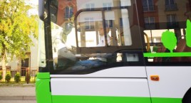 Darmowa komunikacja nie dla wszystkich? Potrzebny byłby jeden dokument