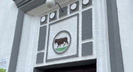 Po mleczarni w Szczecinku pozostała tylko krowa