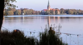 Kotschy: Jak zerwać z przekleństwem „Leśnej polany”. Część II