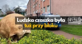 Ludzka czaszka wykopana tuż przy bloku. Skąd się tam wzięła?