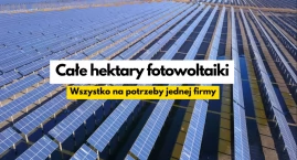 Wielka farma fotowoltaiczna, wielki plan Kronospanu