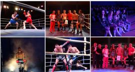 Gala Sportów Walki w Szczecinku: Wygrana Polski i szczecineckich fighterów!