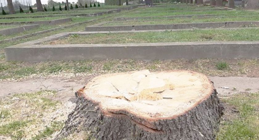 Drzewa na cmentarzu w Pełkiniach wycięli bez wymaganej zgody