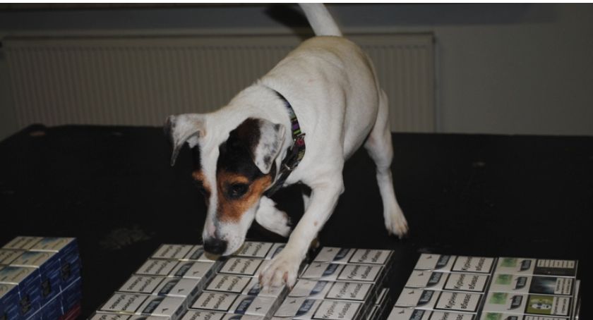 Frida wywąchała przemycane papierosy 