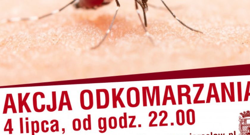 W sobotę wieczorem odkomarzanie parku